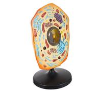 LRXIYODE Animal Cell Aid Realistic Biology Display for Middle School Education Visual Learning Tool for Anatomy Studies for Engaging Biology Lessons