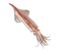 LRXIYODE Artificial Simulation Squid Model Realistic Fake Seafood Decoration for Fish Tank Kitchen Exhibitions Photography Props and Teaching