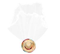 LRXIYODE Bachelorette Veil for Bride Long Rainbow Cap Veil Lightweight Bridal Accessory for Engagement and Wedding Parties Classic Ball Design Future Brides