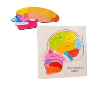 LRXIYODE Brain Structure Puzzle for Wooden Cognitive Multi Puzzle Educational Interactive Matching for Early Learning and Parent Games