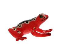 LRXIYODE Creative Amphibian Animal Model Realistic Frog Figurine for Education and Display Indoor Decoration Educational Learning Model