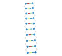 LRXIYODE Dna Double Helix Model Educational Science Teaching Aid Interactive Self Assembling Structure for Biology Learning Visualize Components for Classroom Home Study