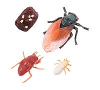 LRXIYODE Eco Friendly Animal Figure Set Plastic Simulation Life Cycle Models Teaching Aids Educational for Learning Growth Stages