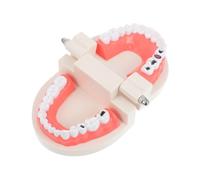 LRXIYODE Educational Teeth Brushing Model for Oral Hygiene Practice Interactive Teaching Aid for Hand Eye Coordination and Motor Skills Development