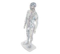 LRXIYODE Human Acupuncture Model Body Acupoint Mannequin with Precise Pressure Point Mapping for Traditional Chinese Medicine Learning Educational Meridian Display Tool for Massage
