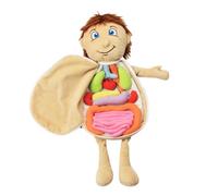 LRXIYODE Human Body Organs Plush Educational Puzzle for Preschool Soft Skin Friendly Anatomy Doll Enhancing Cognitive Skills Fine Motor Coordination Early Learning Tool
