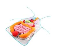 LRXIYODE Human Organs Apron Teaching Tool for Early Education Cognitive Body Parts Apron with Heart Lung Liver Intestine for Preschool Learning and Parent Activities
