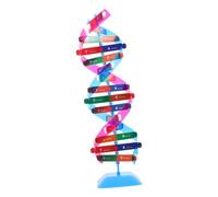 LRXIYODE Interactive Double Helix Dna Model Kit for Science Teaching Material Biology Educational for Middle High School Students Enhances Genetic Learning and Molecular Structure Study