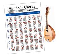 LRXIYODE Large Mandolin Chord Chart Diagram Exercise Guide for Practice Fingers Laminated Mandolin Diagram Trainning Chart