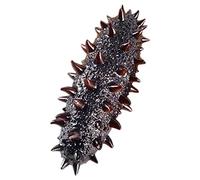 LRXIYODE Realistic Sea Cucumber Model Lifelike Artificial Seafood Prop for Home Decoration Pretend Play and Photography for Learning and Market Display