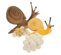 LRXIYODE Realistic Snail Growth Cycle Model Educational Cognitive for Plastic Simulation Figurines for Biology Learning and Home Decoration