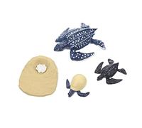 LRXIYODE Realistic Turtle Growth Cycle Model Educational for Vivid Animal Evolution Figurines for Learning and Teaching Biology Concepts