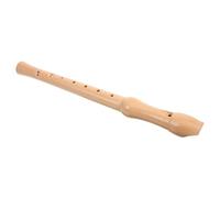 LRXIYODE Transparent Abs Soprano Recorder Flute Music Instrument for Beginners School Practice Accurate Tone Wind Musical Instrument for Hand Coordination and Easy Fingering