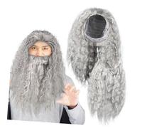 LRXIYODE Wizard Wig Set Halloween Gray Beard Costume Color Long Accessories Gray Wig Beard Fiddler Dark Professor Witch Costume Facial Hair Party Accessory Curly Grey The Pet