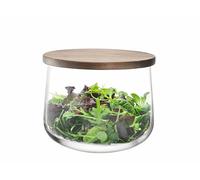 LSA International City Bowl and Walnut Lid 22 cm Clear, Ø22cm