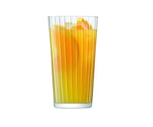 LSA International Gio Line Juice Glass (large) 320 ml Clear | Set of 4 | Dishwasher Safe | GI24