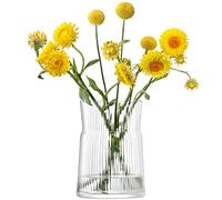 LSA International Gio Line Lantern/Vase H29cm Clear| 1 Unit | Mouthblown & Handmade Glass | GI31