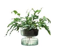 LSA International LSA Canopy Recycled Self Watering Planter Size: 22cm, H22cm