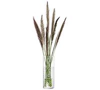 LSA Wicker Vase H20cm Clear| 1 Unit | Mouthblown & Handmade Glass | WR10