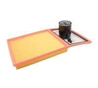 LSC 10334315 : Air Filter and Oil Filter Element Set/Service Kit - NEW