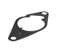 LSC 95522521 747.290 : Genuine Vacuum Pump Gasket - NEW from LSC