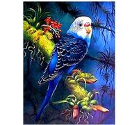 Lsdakoop DIY Painting By Numbers Oil Painting Preprinted Canvas Gift For Adults Kids Home House Decor -Blue Budgie -40x50cm