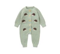 LSFYSZD Newborn Baby Boy Girl Halloween Outfit Pumpkin Embroidery Onesie Jumpsuit Long Sleeve Button Down Knitwear Sweater Jumper Rompers (Hedgehog Green, 9-12 Months)