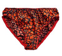 LSHARON SILK Women's Sexy 100% Mulberry Silk Briefs Lingerie Thong Underwear Panties (M(Tag XL), 5)