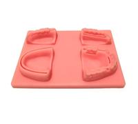 LSOAARRT Dental Suture Practice Kit Suture Practice Kit Students and Veterinary Student Suturing Pad,Training Kit