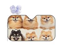 LSRCPD Pomeranians Pattern Print Car Windshield Sun Shade, Foldable Foil Sun Shade Car Windshield Cover All Weather Universal Fit Auto Car Trunk SUV, 140x76 CM