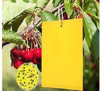 LSRVNM 50 PCS Dual-Sided Sticky Fly Traps, Yellow Sticky Traps, Plant Fly Catcher, Cherry Fruit Fly Maggot Trap, Insect Gnat Traps for Mosquitos, Flying Aphid, Whiteflies, Fruit Flies, Fungus Gnat