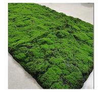 LSSHQ Artificial Moss Fake Grass Mat Moss Pattern Wall Art Fake Grass Rug DIY Synthetic Turf Lawn Carpet, for Wedding Home Backyard Balcony Indoor Outdoor(G)