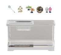 LSTTBO Marinepark with Constructed in Mood LED Light for Dreamlike Subaquatic Viewing Evening and Strengthened Warmth Knowledge LED Fish Cistern