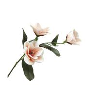 LSUAOSSUE Artificial flowers, 3D Printed Perfume Magnolia Artificial Flowers Pack Of 5 Multicolor(Champagne)