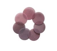 LSUAOSSUE Mesh Sanding Discs, Mesh Abrasive Discs Pack Of 10 3 inches 80-800 grit(Grit 240)