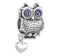 LSxAB Heart Love Wisdom Blue Eyes Owl Charm Compatible with Pandora Charms Bracelets
