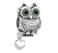 LSxAB Heart Love Wisdom Green Eyes Owl Charm Compatible with Pandora Charms Bracelets