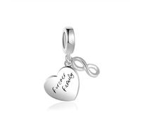 LSxAB Infinity Heart Forever Family Charm Compatible with Pandora Charms Bracelets