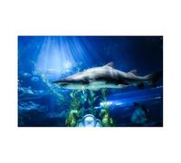 LSYHHXC Aquarium Background Sticker PVC Fish Tank Decoration Poster Double Side 3D Background For Aquarium Ocean Plants Landscape Painting Sticker Decor Ornament(GRAY,30x61cm)