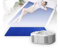 LSyySy Electric Water-Cooled Mattress, Dual-core Semiconductor Refrigerated Bed Cooling System, Sleeping Ice Pads and Bed Mat in Summer, Temp Range of 59-113°F, 90W