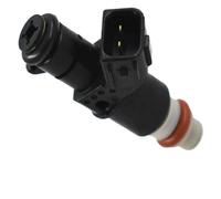 LT-R450 LTR450Z Fuel Injector for Suzuki for Quadracer 450 LTR450 2x4 2006 2007 2008 2009 Fuel Injector Nozzle Fuel Injector