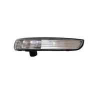 LT2CP Mirror Indicator for Kuga EcoSport 2012-2023 Left Side Blinker Lens