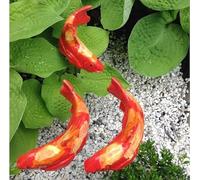 Ltahtliay 3Pcs Fish Garden Ornaments, Resin Koi Fish Statue Fish Sculpture Ornament Koi Fish Decor, Koi Fish Decor Garden with Stake, for Outdoor Garden Lawn Pond Patio Decor Ornament (6)