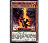 LTGY-EN097 1st Ed Burner, Dragon Ruler of Sparks Common Card Lord of Tachyon Galaxy Yu-Gi-Oh Single Card