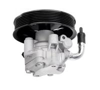 LTHTZO Hydraulic Power Steering Pump Compatible for Hyundai Sorento 2.4 571001U000 57100-2P200 57100-1U000 57100-2P210 571002P210 571002P200 Replacement steering pump kit