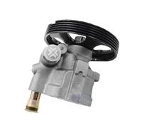 LTHTZO Power Steering Pump Compatible for RENUALT MEGANE KANGOO Clio 7702309058 491105900R 491100699R Power Steering Pump With Pulley