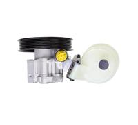 LTHTZO Power Steering Pump W Pulley & Reservoir Compatible for Dodge Ram Pickup 1500 2009 2010 55398903AD 55398903AE 55398904AD 55398904AE 201013 Replacement steering pump kit