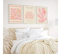 LTjiajuypd Canvas Wall Art Pink Matisse Abstract Poster Paintings Exhibition Minimalist Plant Office Home Interior Decoration(60x80cm-3Pcs)