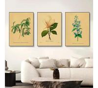LTjiajuypd Minimalist Canvas Posters Plants and Flowers Painting Style Print Painting Peach Strawberry Wall Art Home Room Decor 30x50cm-3Pcs Frameless