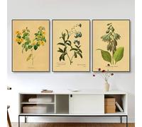 LTjiajuypd Minimalist Canvas Posters Plants and Flowers Painting Style Print Painting Peach Strawberry Wall Art Home Room Decor 60x80cm-3Pcs Frameless